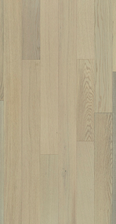 HILLSBOROUGH RED OAK